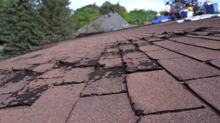 Best Solar Panel Roofing Installation  in Woonsocket, RI